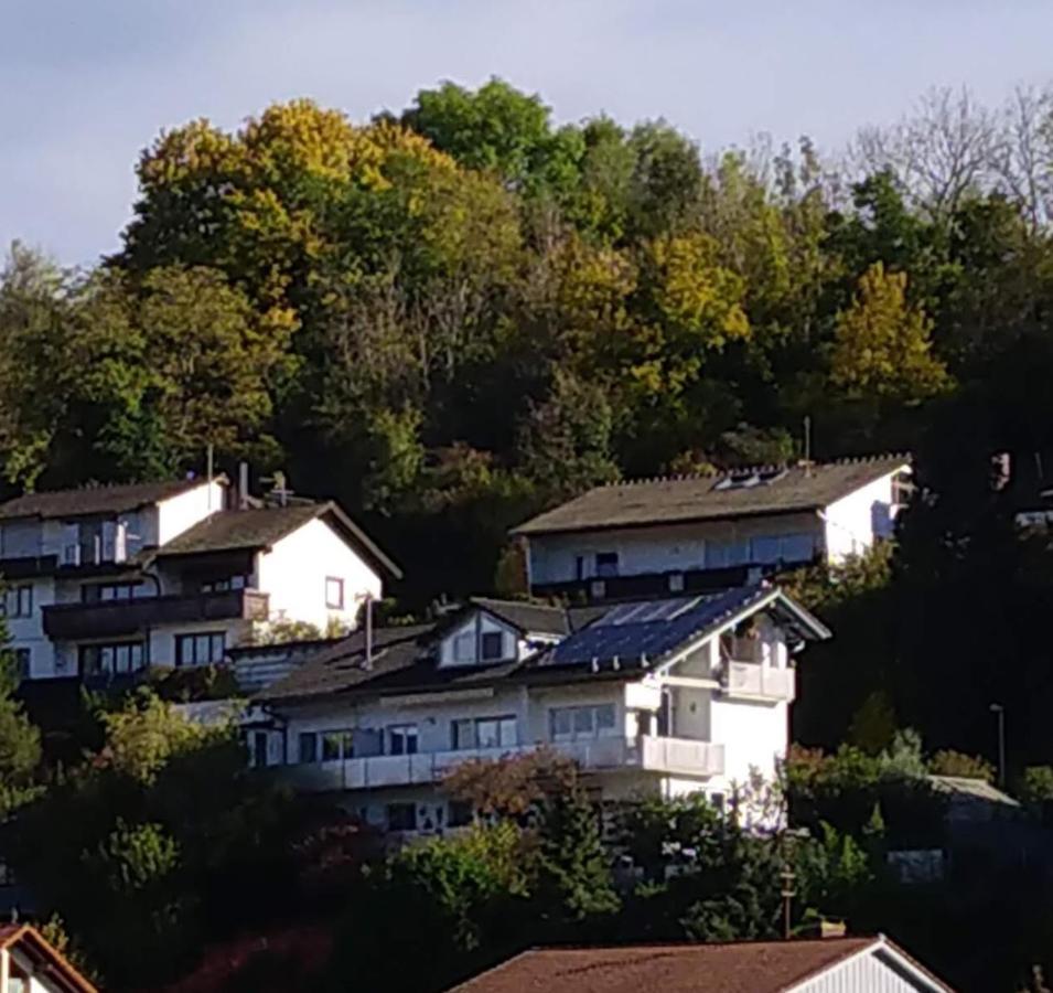 Blick Ins Wutachtal Apartman Wutoschingen Kültér fotó
