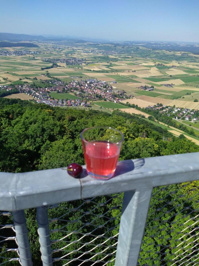Blick Ins Wutachtal Apartman Wutoschingen Kültér fotó