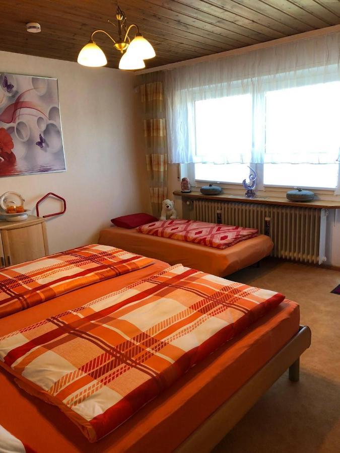 Blick Ins Wutachtal Apartman Wutoschingen Kültér fotó