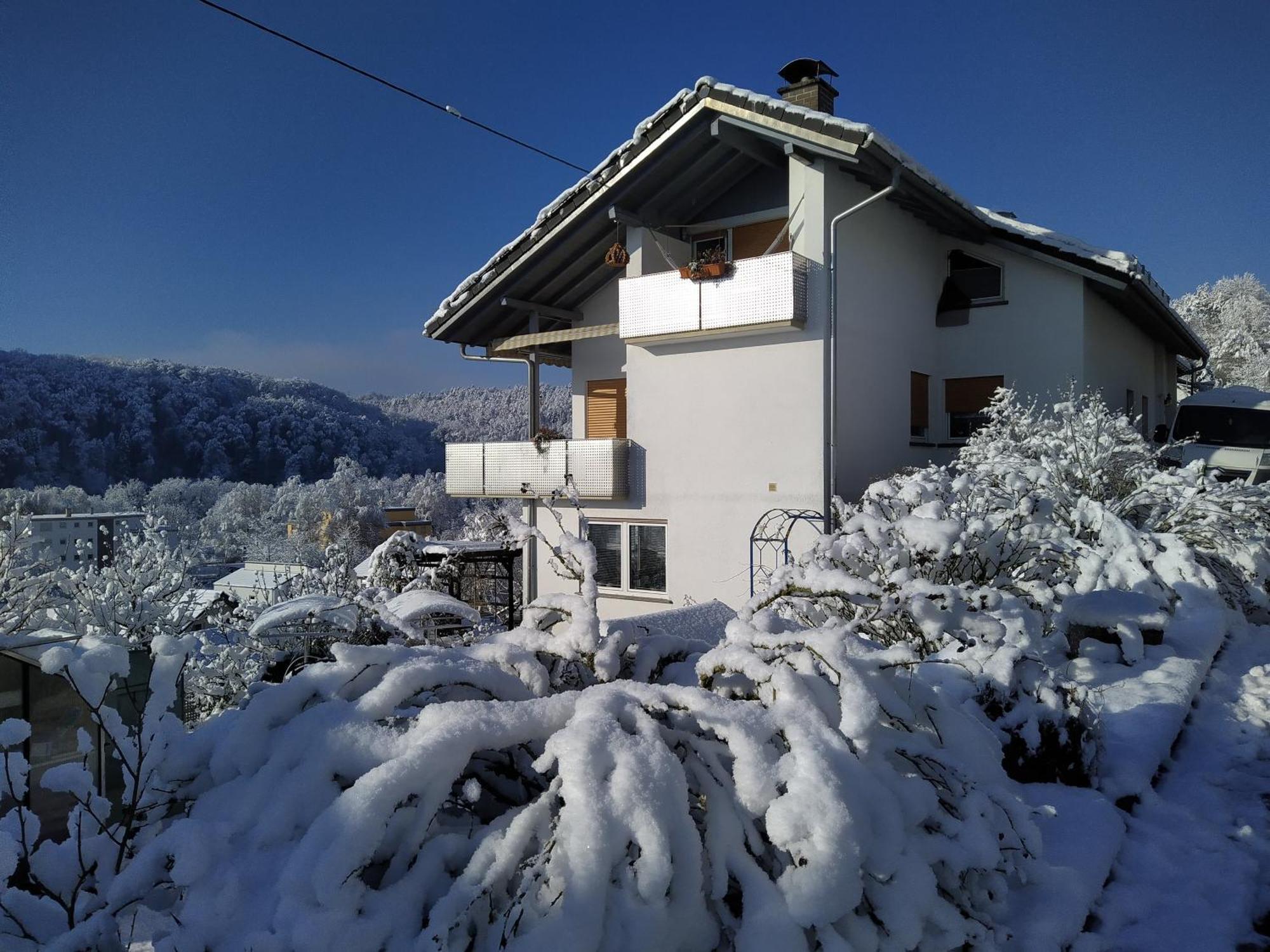 Blick Ins Wutachtal Apartman Wutoschingen Kültér fotó